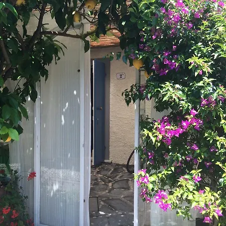 Il Nido Sul Mare A Dei Marmi Apartament