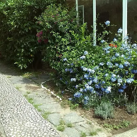 Apartment Il Nido Sul Mare A Dei Marmi