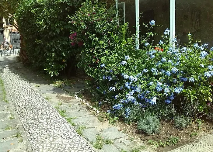 Apartament Il Nido Sul Mare A Dei Marmi