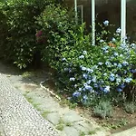 דירה Il Nido Sul Mare A Dei Marmi