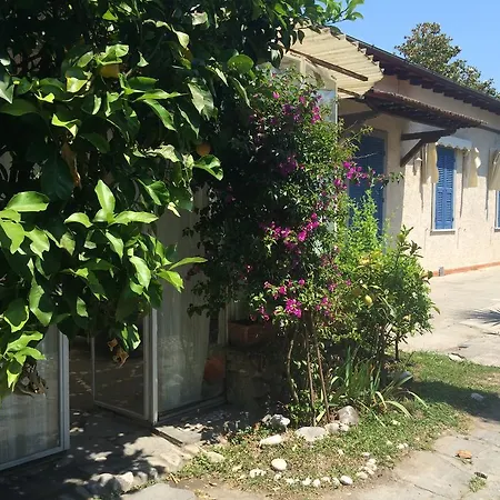 Il Nido Sul Mare A Dei Marmi Apartment Forte dei Marmi