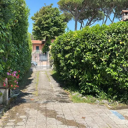 Il Nido Sul Mare A Dei Marmi Forte dei Marmi