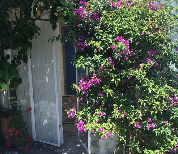 Il Nido Sul Mare A Dei Marmi