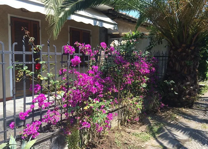 Il Nido Sul Mare A Dei Marmi