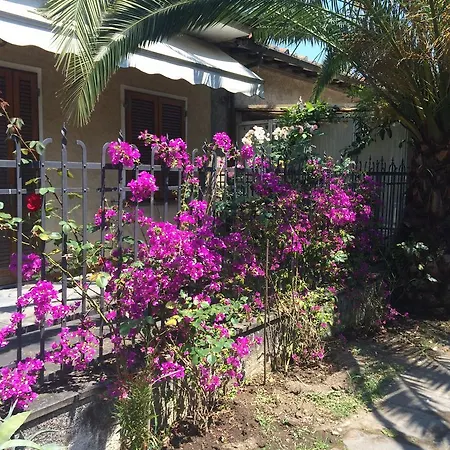 Il Nido Sul Mare A Dei Marmi